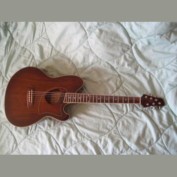 prodám elektroakustickou kytaru Ibanez Talman TCM50 VBS