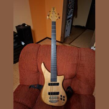 Alembic Epic 5