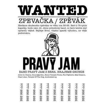 ZPEVAK/ZPEVACKA BRNO