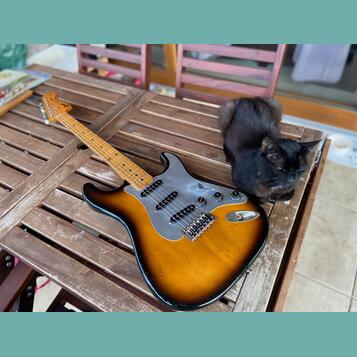 Greco SUPER SOUND Stratocaster 1978