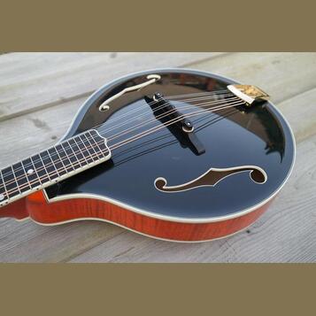 Mandolína A5