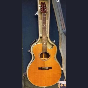 Washburn EA 45N