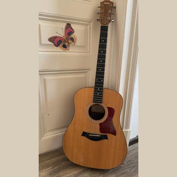 Prodám akustickou kytaru Taylor Model 110