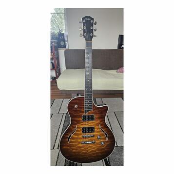 Prodám kytaru TAYLOR T3.