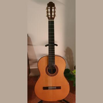 Celomasivní Martinez Custom Shop MCG-130S