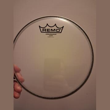 Remo Ambassador 8"