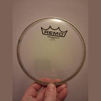 Remo Ambassador 6"