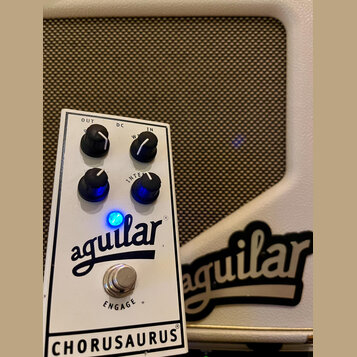 Aguilar Chorusaurus