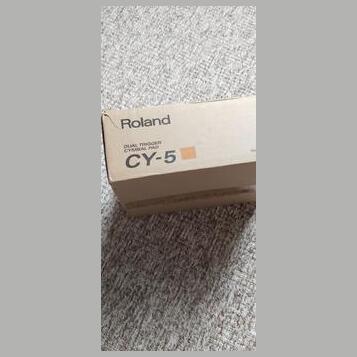 Zcela nový Roland CY-5.