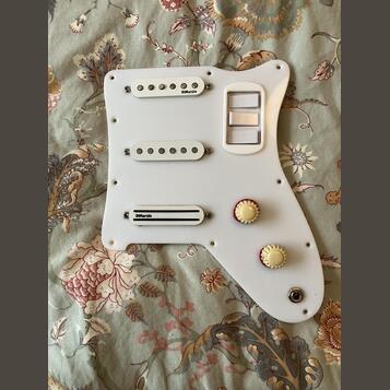 Pickguard na kytary Jolana, Grazioso, Futoráma,  nebo jiné ?
