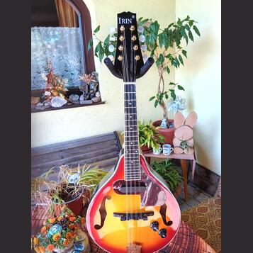 Elektroakustická mandolína