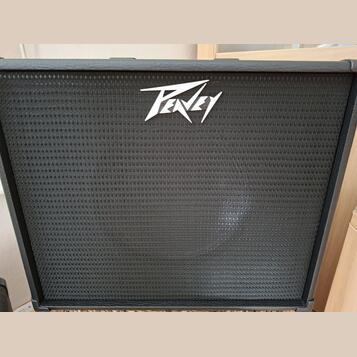PEAVEY EXCENTIAL CABINET