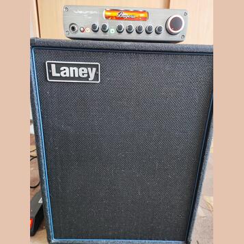 Reprobedna Laney R210