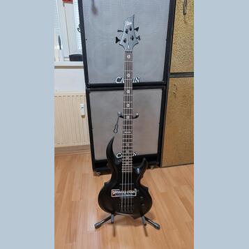 ESP LTD TA-204 FRX