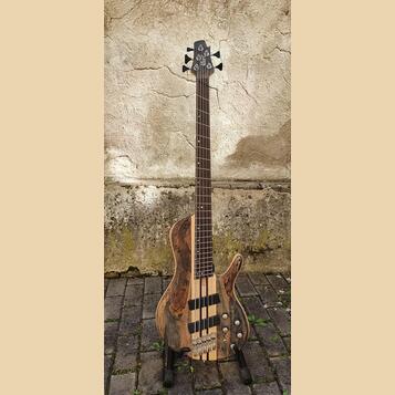 Prodám Cort Artisan A5 Plus SCMS