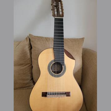 Alto Guitar