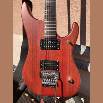 WASHBURN N 2