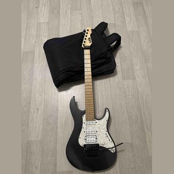 ESP LTD SN-200FRM 