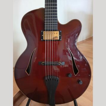 Jazzová kytara Jiří Navrátil (možná výměna za Telecaster)
