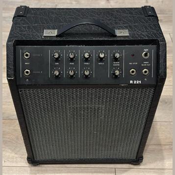 Regent R221 - kombo 30W