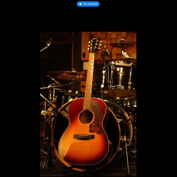 Gibson LG-1 1966