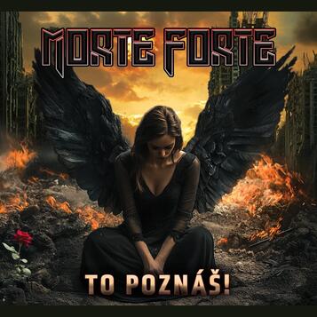 Hledáme hlavního kytaristu (rock, vlastní tvorba)