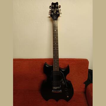 Washburn Lyon Paul Stanley