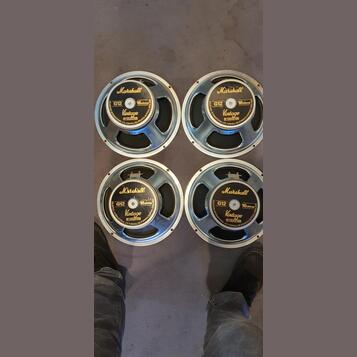 Celestion Marshall Vintage