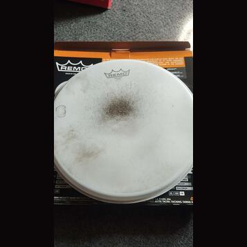 Remo 13" Emperor Coated