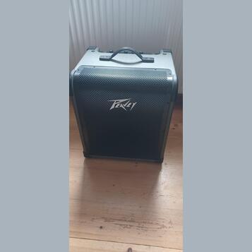 Peavey max 100