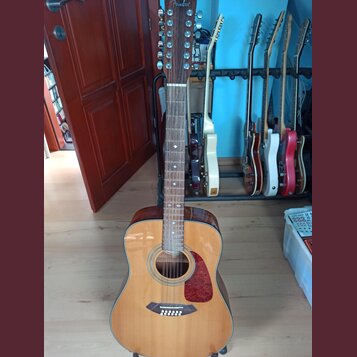 Fender CD-160E 12-strunná