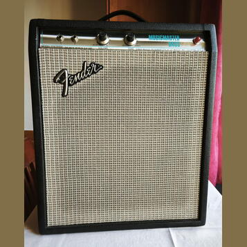 1977 Fender Musicmaster Bass Amp 230V