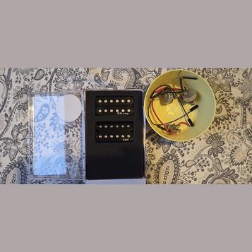 R.M. Pickups F1 + ESP + potenciometry