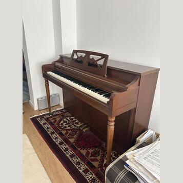 Koupim "Wurlitzer" nebo vizualne podobny nastroj