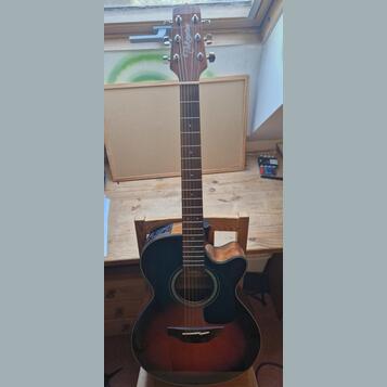 Takamine GF30CE