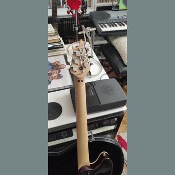 EVH  Wolfgang speciál.