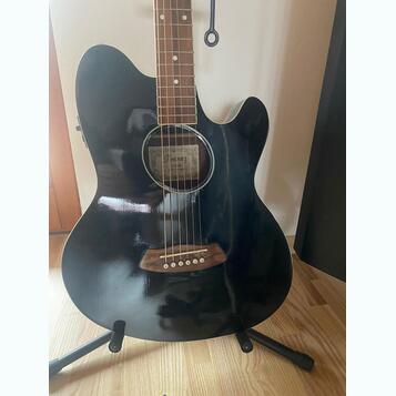 Elektroakustická kytara Ibanez