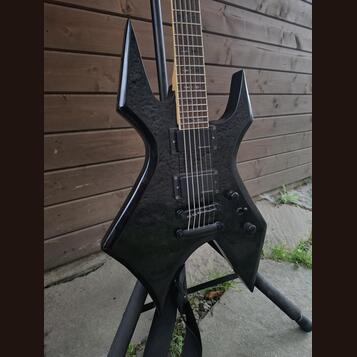 Warlock - Schecter/Harley Benton Frankenstein