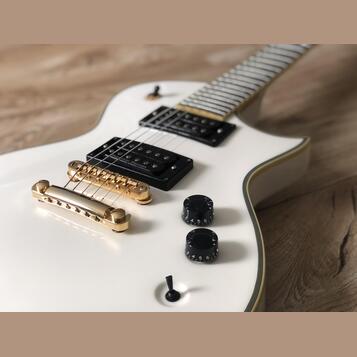 ESP 401 Seymour Duncan sh4 sh2 