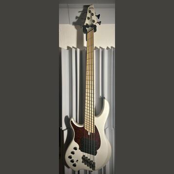 Dingwall NG2 Combustion 