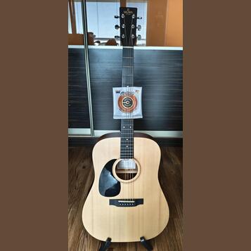 Sigma guitars dmel