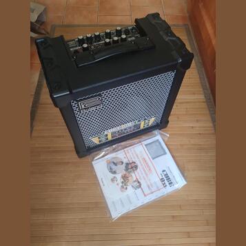 Roland 20XL kombo