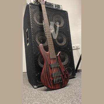 Spector NS Pulse Cinder Red + fishman fluence