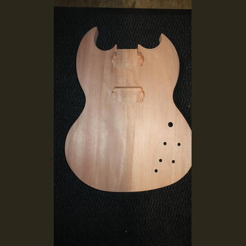 DIY SG typ