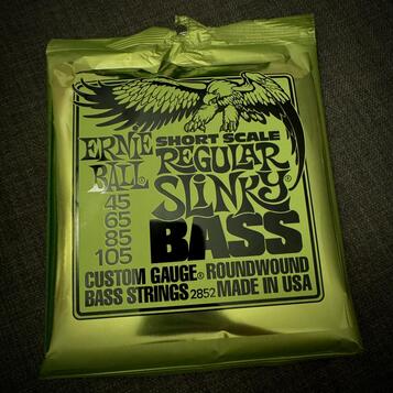 Ernie Ball 2852 Regular Slinky Short