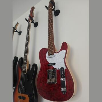 Telecaster ARIA Neshville 