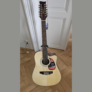 12strunná elektroakustická kytara