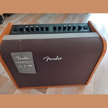 Fender acoustic 100