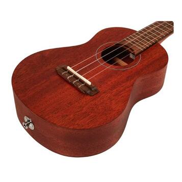 KOncertni ukulele Takamine EGU Series 1