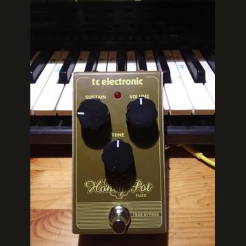 TC Electronic Honey Pot Fuzz